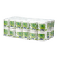 White Swan 2-Ply Toilet Paper, (36 Rolls)